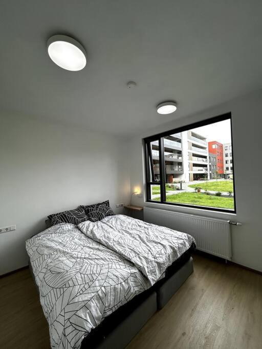 A Modern & Homely Apartment Рейкьявик Экстерьер фото